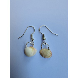 Normal earrings